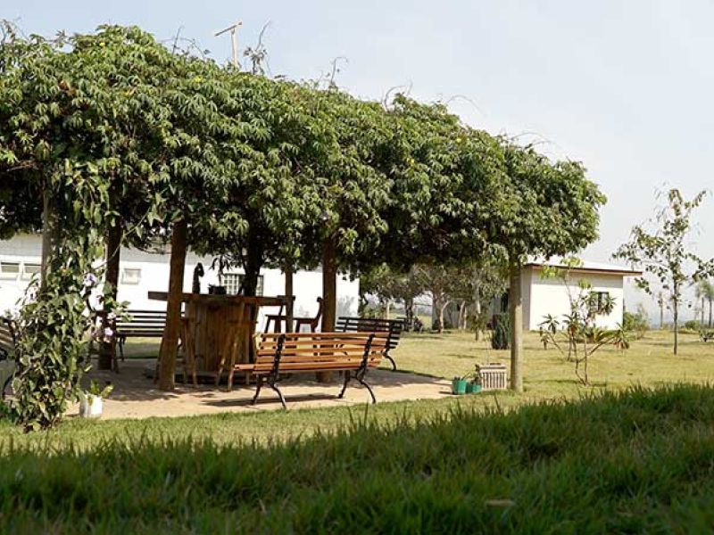 Clínicas de Recuperação Grupo Transformando Vidas em Conchal- SP - 33a2ecd24557739346d625f56c12a3e9.jpg