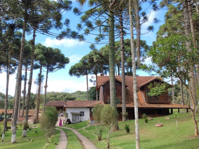 Grupo Transformando Vidas em Campina Grande do Sul- PR - 678622c41166f8137395880aadc7933a.jpg