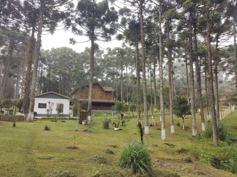 Clínicas de Recuperação Grupo Transformando Vidas em Embu das Artes- SP - 9176d9ba0959dc57b917dca34ea1d931.jpg