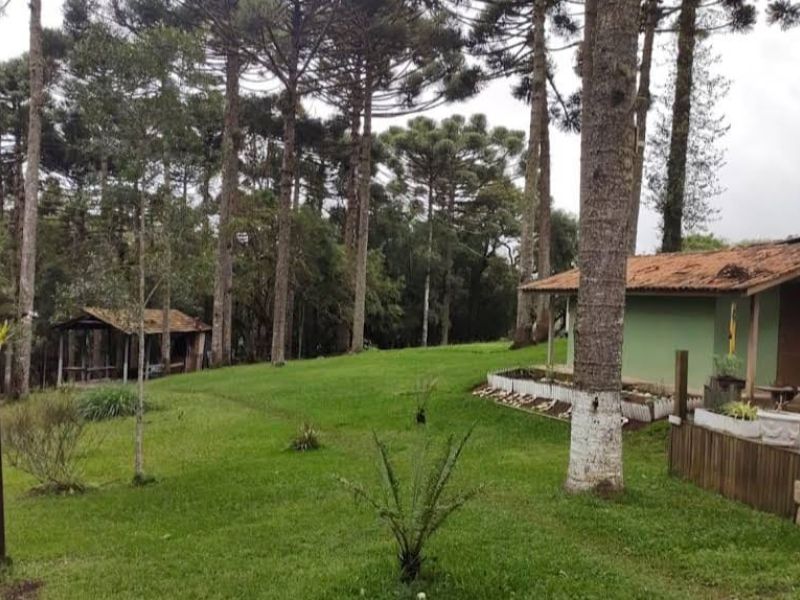 Clínicas de Recuperação Grupo Transformando Vidas em Salesópolis- SP - 95bf363f0abfffdbf6a56ce093e9ec33.jpg