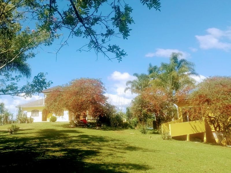 Grupo Transformando Vidas em Campina Grande do Sul Involuntária- PR - bf10eb6699f1b15ce2e91f3ae07ade63.jpg