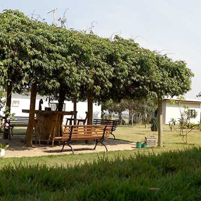 Clínicas de Recuperação Grupo Transformando Vidas em Conchal- SP