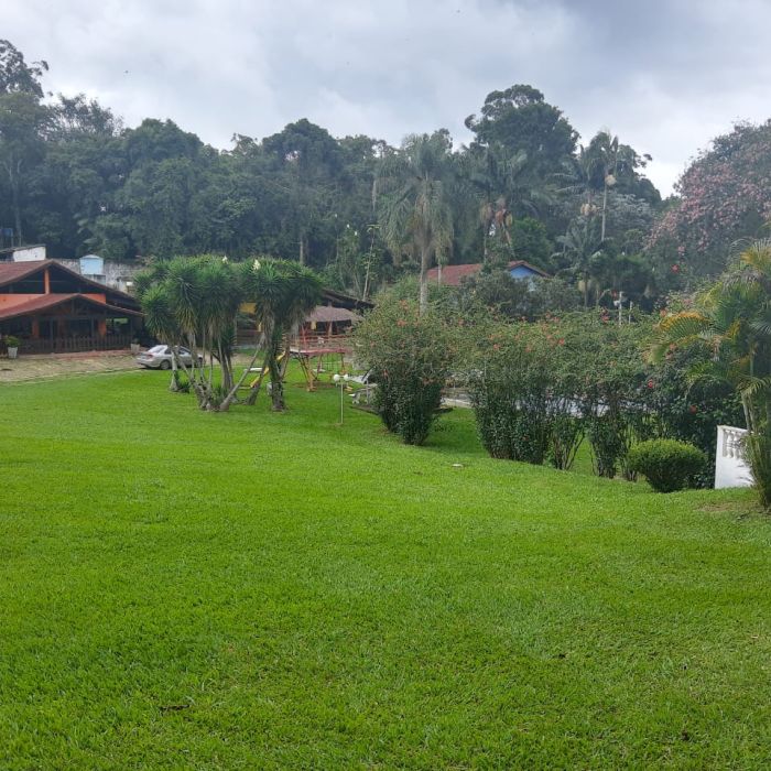 Grupo Transformando Vidas em Minas Gerais- MG 