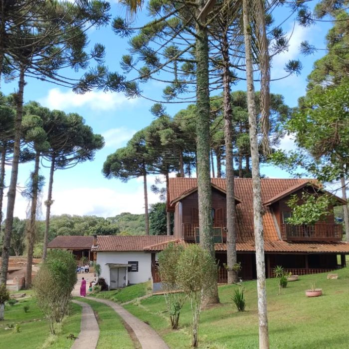 Grupo Transformando Vidas em Campina Grande do Sul- PR