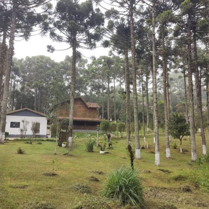Clínicas de Recuperação Grupo Transformando Vidas em Embu das Artes- SP