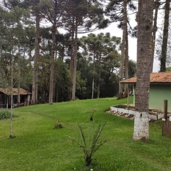 Clínicas de Recuperação Grupo Transformando Vidas em Salesópolis- SP