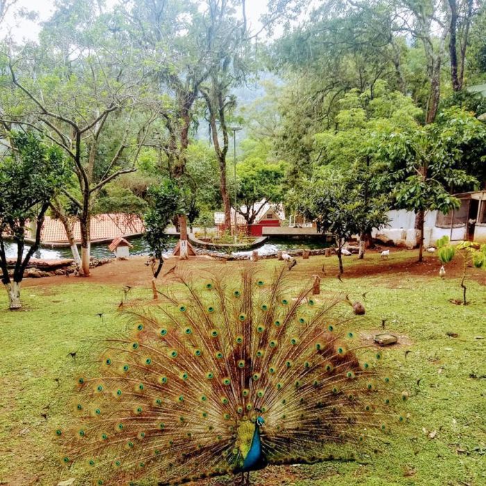 Grupo Transformando Vidas em Mairiporã- SP