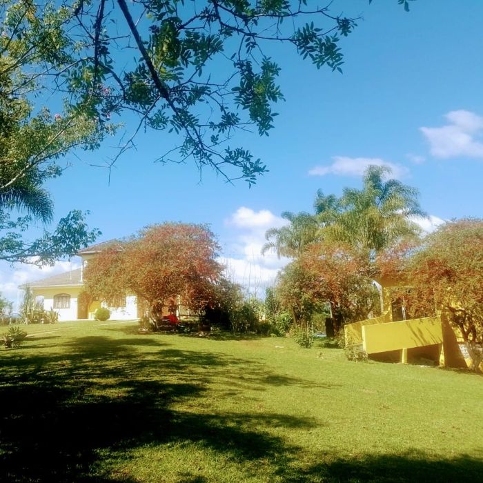 Grupo Transformando Vidas em Campina Grande do Sul Involuntária- PR