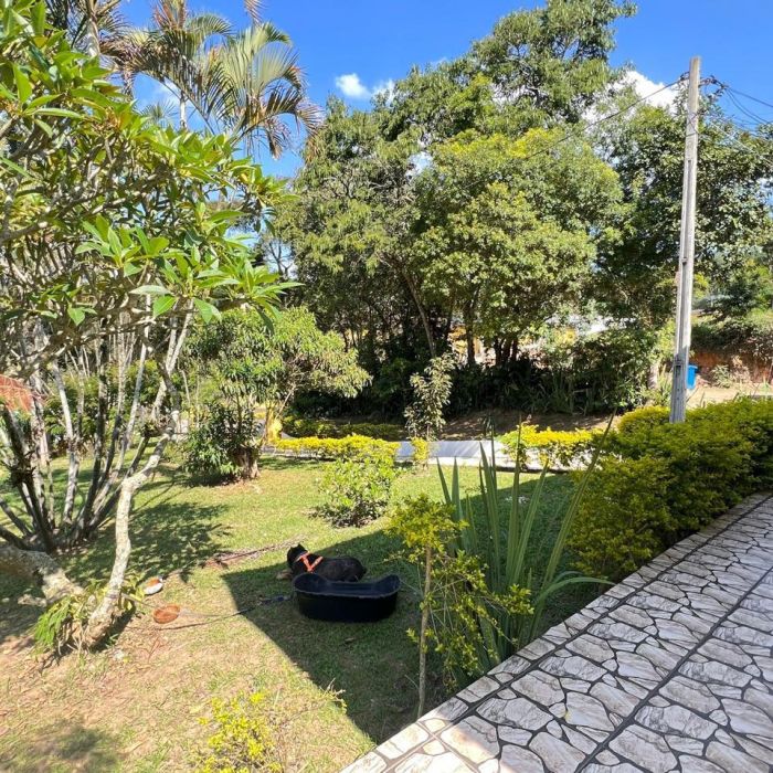 Clínicas de Recuperação Grupo Transformando Vidas na Cidade Tiradentes- SP